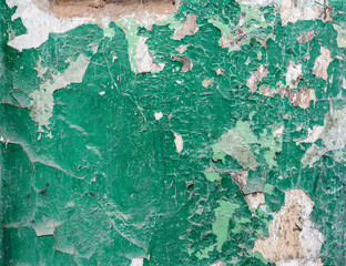 Poster - texture of old blank green wall, peeling paint, rough plaster, abstract background and a banner copy space