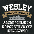 © vision_stock - Typeface. Label. Wesley shadow typeface, labels and different type designs