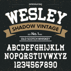 Typeface. Label. Wesley shadow typeface, labels and different type designs