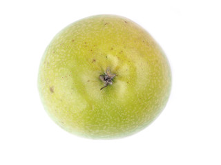 apple on a white background