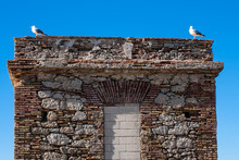 Bird Seagull On A Background Of Blue Sky Sitting On The Old Brick Wall.