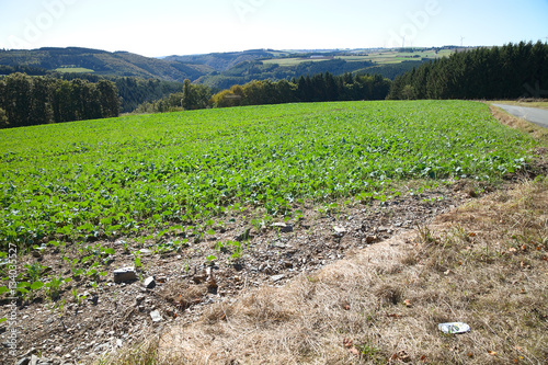 Fotografia Landschaft in der Eifel. Blick auf Luxemburg