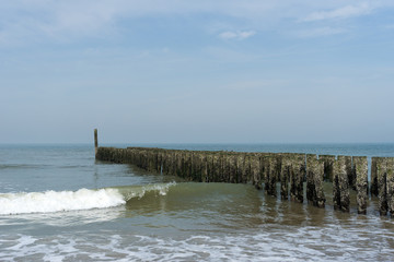 timber piles resisting to north sea waves/ netherlands