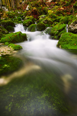 View of a beautiful autumn creek near Bohinj