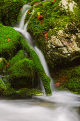 View of a beautiful autumn creek near Bohinj