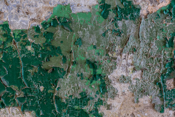 Poster - texture of old blank green wall, peeling paint, rough plaster, abstract background and a banner copy space