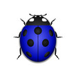 Ladybug small icon. Blue lady bug sign, isolated on white background. 3d volume design. Cute colorful ladybird. Insect cartoon beetle. Symbol of nature, spring or summer. Vector illustration