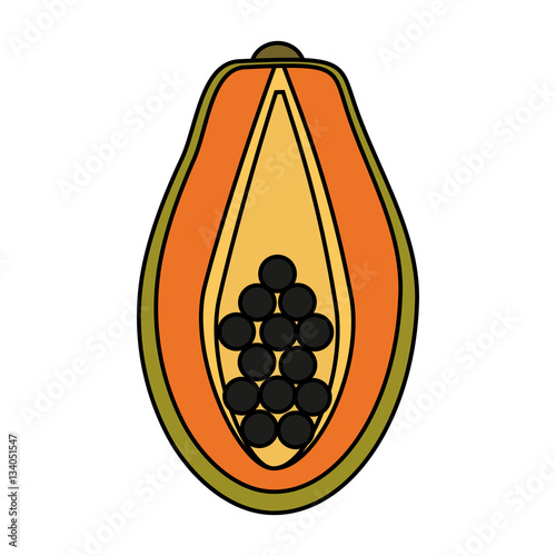 paw paw fruit icon over white background. colorful design. vector illustration Stock Vector ...
