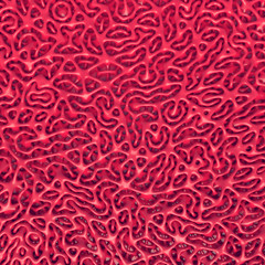 Poster - Abstract geometry red pattern background. 3d rendering