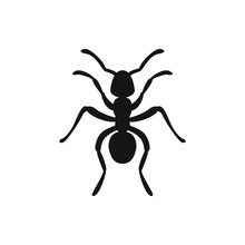 Ant Icon Illustration