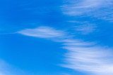 Fototapeta Na sufit - clouds in the blue sky as background