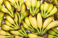 Fresh Bananas And South America Map