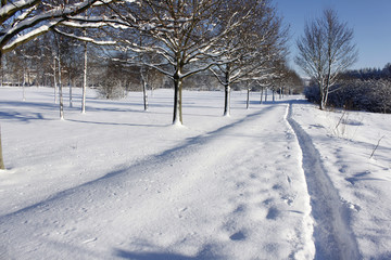 winter snow landscape nature