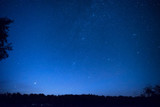 Fototapeta Na sufit - Beautiful blue night sky with many stars