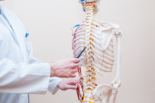 Closeup On Medical Doctor Man Pointing On Thorax Of Human Skeleton Anatomical Model. Selective Focus