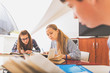 © Yakobchuk Olena - Interested teenagers in light classroom
