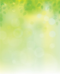 Wall Mural - Vector green leaves on sunshine background.