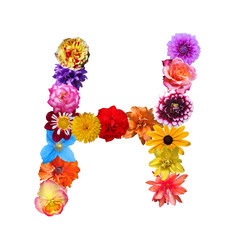 Wall Mural - Flower Letter H