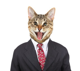 Smiling cat in a Business Suit