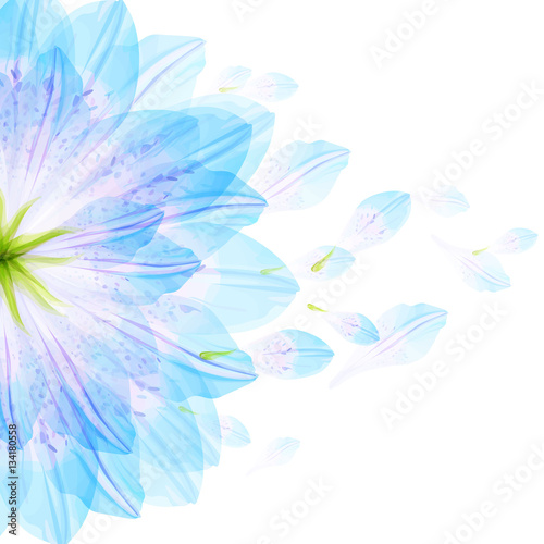 Floral round pattern of blue flower petals