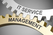 © Coloures-Pic - IT Service Management