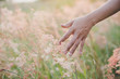 © Johnstocker - Woman's hand touch the grass in field at sunset . Rural and natu