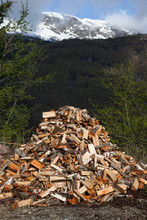 A Truckload Of Firewood