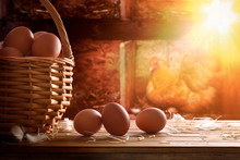 Freshly Picked Eggs In Basket With Chicken Within Henhouse Backg