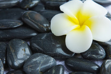 Aromatherapy With Sea Stones And Seashells