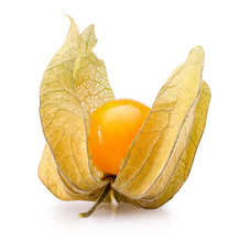 Cape Gooseberry Isolated On The White Background