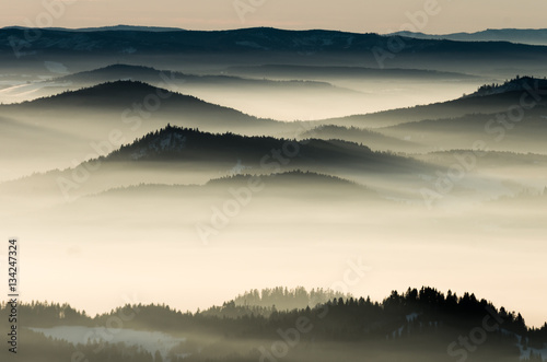 Obrazy Polska misty-mountains-landscape-in-the-morning-poland