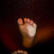 Baby feet from the womb