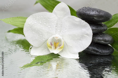 Fototapeta na wymiar spa Background - orchids black stones and bamboo on water