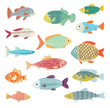 Vector Set Of Of Ocean And Sea Cartoon Fishes On White.