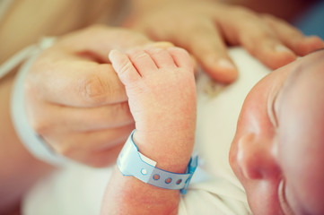 Wall Mural - Newborn baby first days in hospital and home