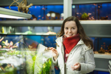 Wall Mural - Young woman watching fish in aquarium tank