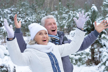 Wall Mural - mature couple happy together