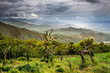 Great Rift Valley - Ethiopia
