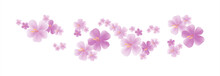 Purple Flying Flowers Isolated On White. Sakura Flowers. Cherry Blossom. Vector 
