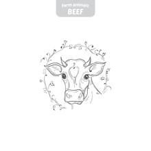 Head Pattern Cow In A Graphic Style, Hand-drawn Vector Illustration.
