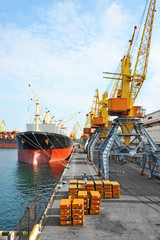 Bulk cargo ship under port crane