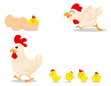 Happy Cartoon Chicken Family