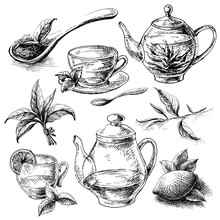 Tea Collection Elements In Graphic Style, Hand-drawn Vector Illustration.