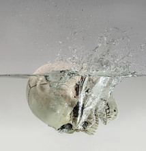 Drowning Human Skull In The Water