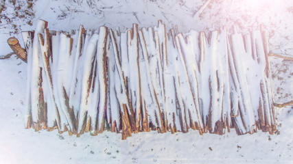 Snow covered wood in the forest #2