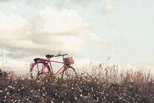 Bicycle Park And Outdoor Nature Vintage Old Style Background.