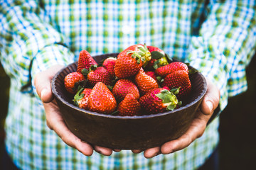 Poster - Fresh strawberries