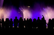 © Fedor Sidorov - Black silhouettes of people watching a fountain show