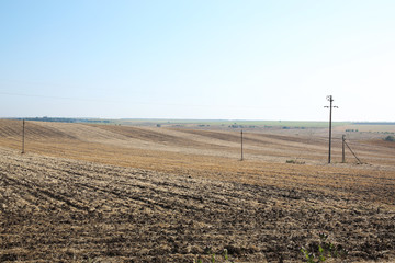 Canvas Print - Field in summertime