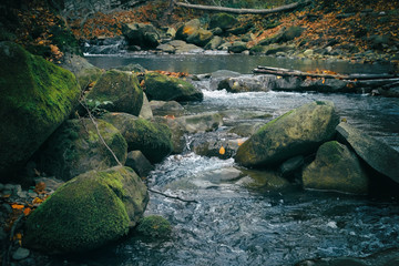 Poster - Mountain stream with rocks